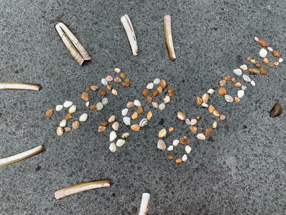 Vakantiebungalow Mee Naar Ouddorp Aan Zee エクステリア 写真